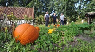 Halloween im Kreis Minden-Lübbecke: Alle Veranstaltungen und Gruseltipps im Überblick