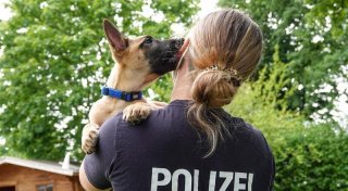 Niedlicher Polizeiwelpe „Pivo“ verzückt Bielefeld: Was ihn in der Ausbildung erwartet