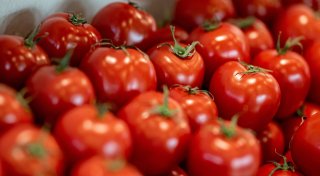 Verbrauch von Tomaten deutlich gesunken