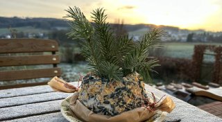 Tipps aus Enger: Winterliche Snacks für Vögel selbst herstellen