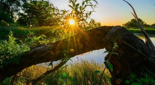 Wetterdienst erwartet herbstliches Wochenende