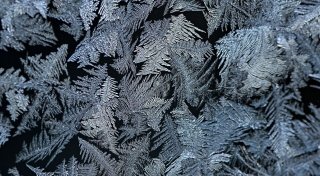 Warum auch bei Kälte kaum noch Eisblumen wachsen
