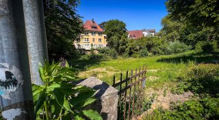 Bäume sollen gefällt werden: Umfeld des Herforder Pöppelmann-Hauses steht vor Umgestaltung