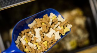 Tierfutter seit 2020 mehr als ein Drittel teurer