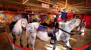Ponykarussell auf Bielefelder Frühjahrskirmes: Tierschützer fordern erneut Verbot