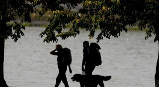 Wandern mit Hund: Mit diesen Tipps ist man gut gerüstet