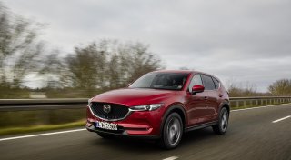 Während der Reha in Bad Oeynhausen klauen Diebe einem Patienten das Auto