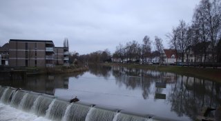 Deshalb müssen am Bergertor in Herford bald 35 Bäume gefällt werden