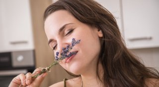Lavendel-Schnitt: So nutzen sie Triebe und Blüten