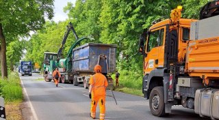 Dringende Baumfällarbeiten in Gütersloh sorgen für Staus auf der B61