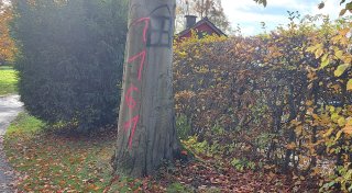 Ungewöhnliche Geheimcodes: Bielefelder Parkbesucher entdecken rechtsextreme Graffiti