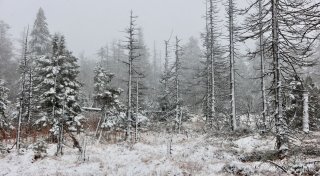 Tief «Quiteria» bringt Sturmböen und Schnee