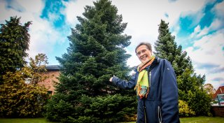 Christbaum mit Polizei-Eskorte: So prächtig ist die Herforder Weihnachtsmarkt-Tanne