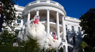 Biden begnadigt Truthähne vor Thanksgiving