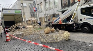 Umstritten: Leuchttiere verlassen die Bielefelder Bahnhofstraße