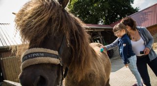 7 Mythen zur Tierallergie im Check