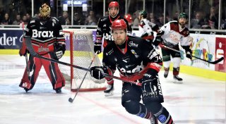 Von Titanic zu Traumschiff: Warum der Herforder Eishockey Verein plötzlich auf Erfolgskurs segelt