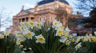 Wettermix bei oft milden Temperaturen