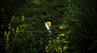 Drei Verletzte bei Auseinandersetzung in Bremen