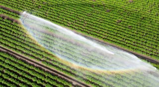 Kommunen: Bürger auf Wasserknappheit bei Hitze vorbereiten