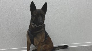 Großer Fund an A2 im Kreis Gütersloh: Hund macht Entdeckung auf Rastplatz