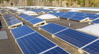 Energiewende in Bielefeld: Neue Genossenschaft „BIEGE“ sucht Unterstützer