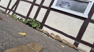 Der Kreis Paderborn kompakt: Angriff auf jüdisches Haus, pöbelnder Fußgänger, Friseurin bei Fashion Week
