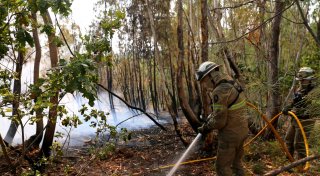 Bereits vier Tote bei Waldbränden in Portugal