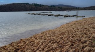 Winter pausiert - stattdessen windig und wechselhaft