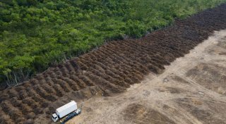 EU-Mitgliedsstaaten gegen Änderungen an Waldschutzgesetz
