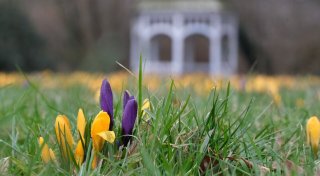Wetterdienst: «Nun probiert es der Frühling zum zweiten Mal»