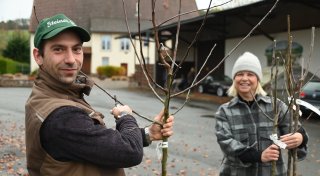Pflanzaktion nach dem Tornado: Fast 200 Bäume für dieses Höxteraner Dorf