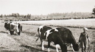 Wie herausfordernd die Senne war