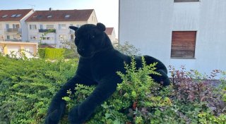 Großes Stofftier löst Raubtier-Fehlalarm im Kreis Lippe aus