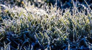 Warmfront weckt Vorfreude auf den Frühling