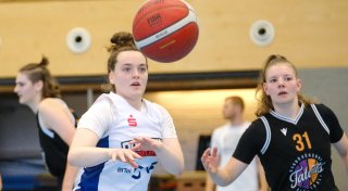 Ein Dutzend Lady-Dolphins gegen Köln