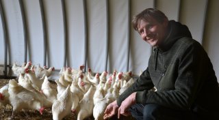 Das Virus, die Hühner und wie sich Halter in Herford auf die Vogelgrippe vorbereiten können