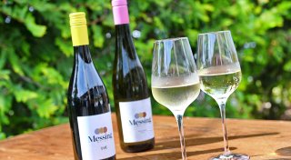 Weinmärkte und Weinfeste in OWL: Alle Termine für 2025 im Überblick