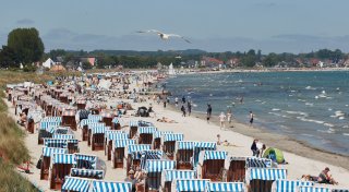 Hochsommerliche Temperaturen im ganzen Land erwartet