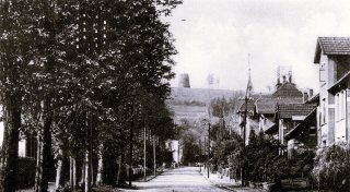 Als der Tönsberg in Oerlinghausen „oben ohne“ war