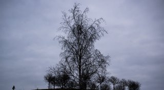 Dunkel, kalt, immer müde? Was der Seele jetzt hilft