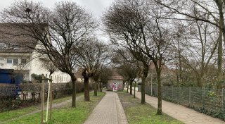 Baubeginn in Herford: Pöppelmannwall-Sanierung für 2025 geplant