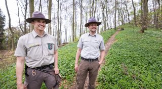 Achtung Verwechslungsgefahr! Bielefelder Ranger hat Tipps für das Bärlauch-Pflücken