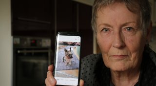 Attacke in Warburg: Kampfhund beißt kleinen Hund „Jimmy“ tot
