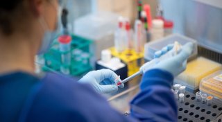 WHO-Rat: China mauert - Ursprung des Coronavirus unklar