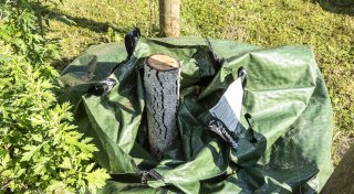 Unbekannte Täter fällen Gedenkbaum in Bielefeld - rassistischer Hintergrund?