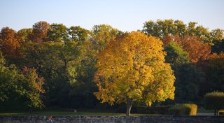 Goldener Oktober bringt stellenweise mehr als 20 Grad