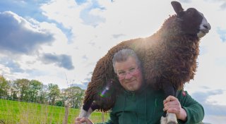 Schwule Schafe aus Löhne von Popstar Bill Kaulitz auf dem New Yorker Laufsteg