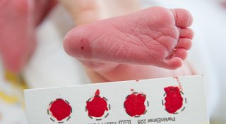 Bluttropfen kann Leben retten: Babyscreening auf Krankheiten