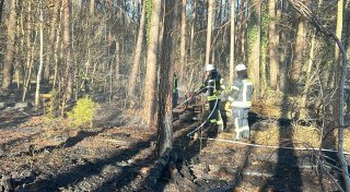 Trockenheit: Erneut Feuer im Osterwald in Espelkamp ausgebrochen